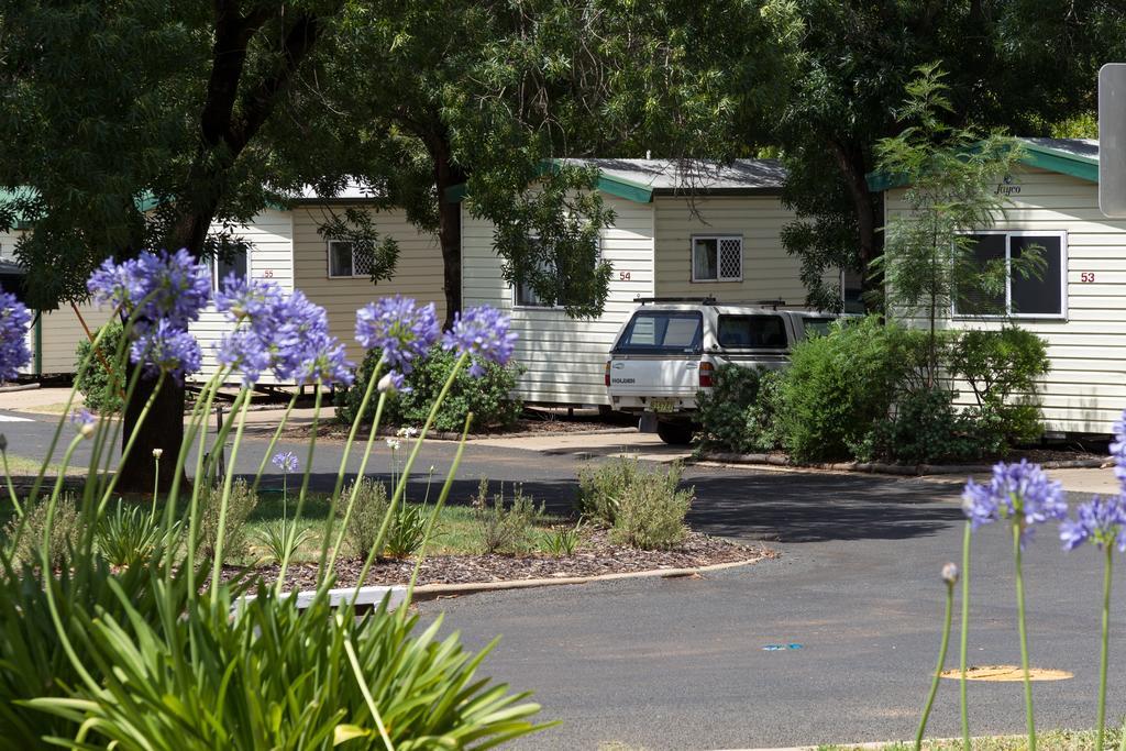 Nrma Dubbo Holiday Park Hotel Quarto foto